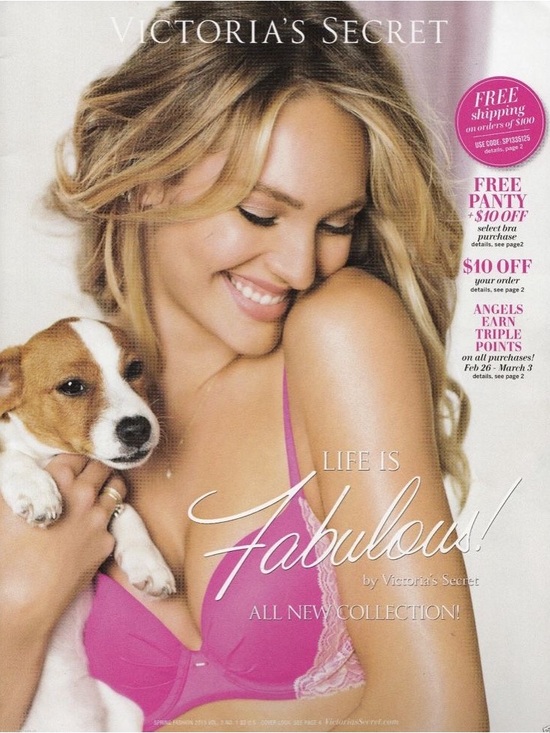 Accessories - ISO! DO NOT BUY! Victoria’s secret catalogs/magazines